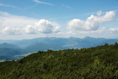 2019 08 09T13 01 36 IMG 8904