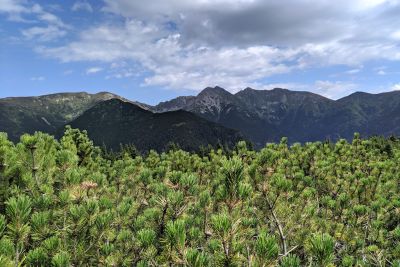 2019 08 11T12 43 09 IMG 20190811 124309