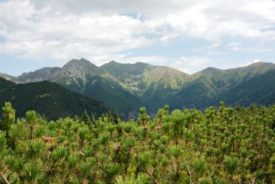 2019 08 11T12 54 26 IMG 8924