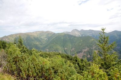 2019 08 11T13 30 05 IMG 8943