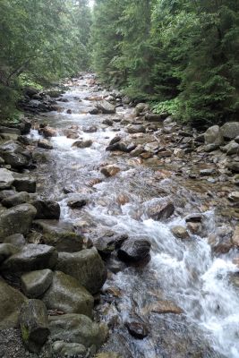 2019 08 13T10 21 42 IMG 20190813 102142