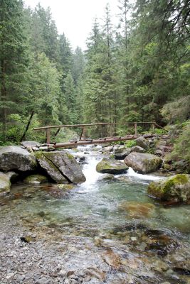 2019 08 13T11 26 37 IMG 8945