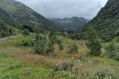 2019 08 14T14 47 17 IMG 20190814 144717