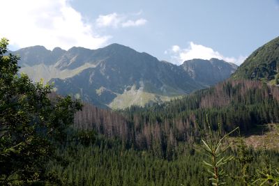 2019 08 15T10 09 39 IMG 8956