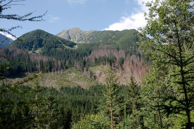 2019 08 15T10 10 02 IMG 8958