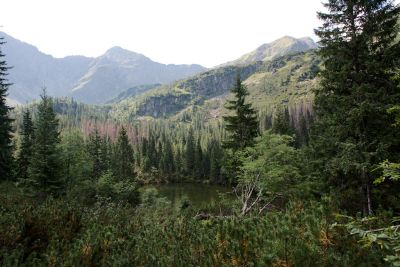 2019 08 15T10 56 53 IMG 8967