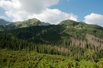 2019 08 15T11 03 29 IMG 8972