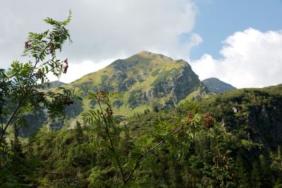 2019 08 15T11 08 01 IMG 8978