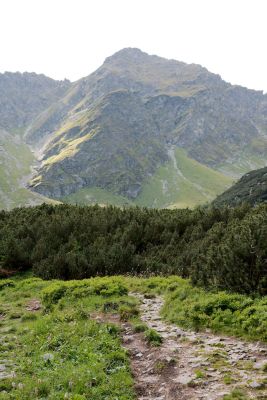 2019 08 15T11 15 29 IMG 8995