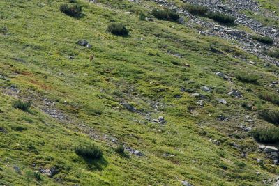 2019 08 15T13 03 47 IMG 9028