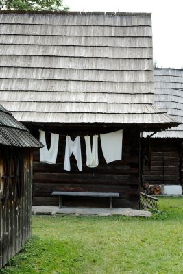 2019 08 15T16 00 07 IMG 9046