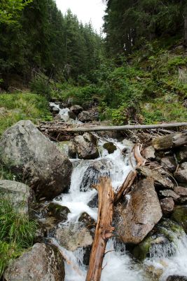 2019 08 16T11 02 08 IMG 9088