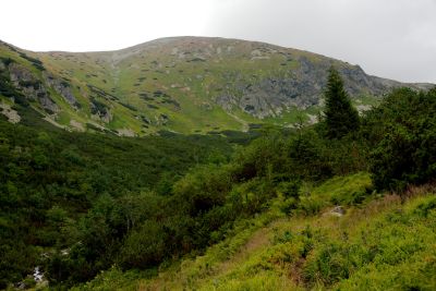 2019 08 16T12 14 50 IMG 9093