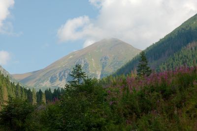 2019 08 17T10 17 35 IMG 9099