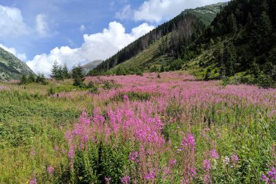 2019 08 17T10 38 02 IMG 20190817 103802