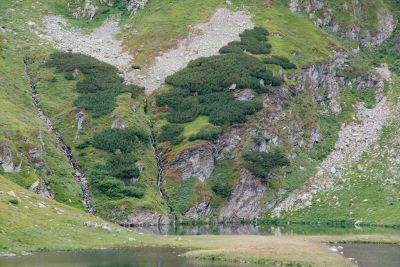 2019 08 17T13 09 04 IMG 9165