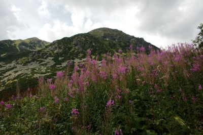 2019 08 17T14 08 53 IMG 9177